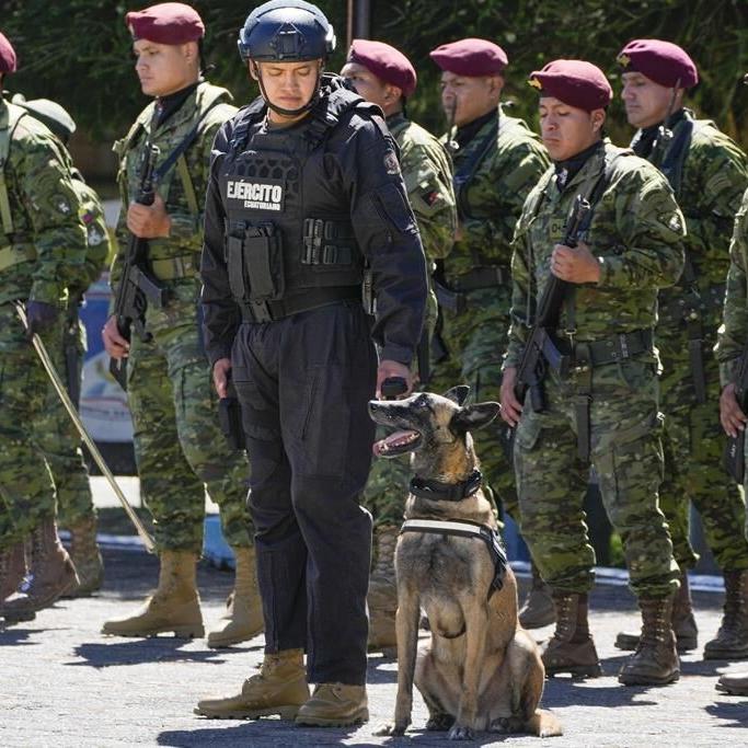 5 dogs with military intelligence unit in violence-plagued Ecuador given medals for service